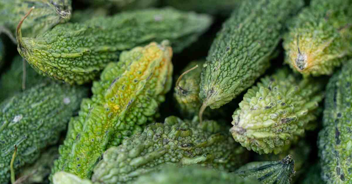 Bitter gourd Benefits