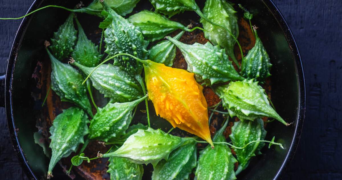 Bitter gourd Benefits
