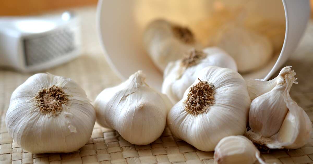 Garlic Benefits
