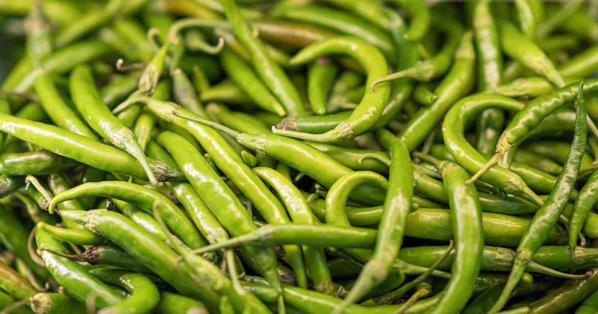 Green chilli Benefits